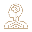 Nervous system